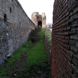 mura aureliane dal cellulare